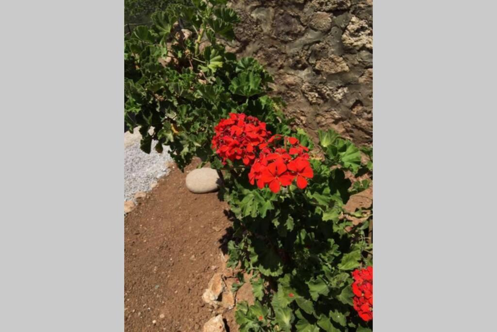 Gerani Maison Agios Aimilianos Beautiful View Porto Heli Bagian luar foto